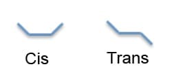 Acide gras cis vs trans
