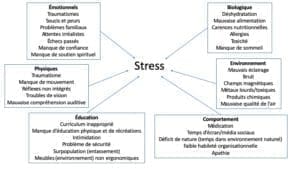 Stress et charge toxique