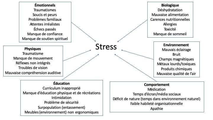 Stress et charge toxique